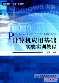 計算機應(yīng)用基礎(chǔ)實驗實訓(xùn)教程 軟件開發(fā)入門實踐